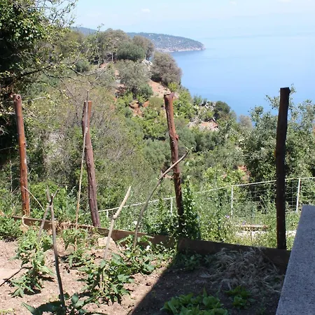 Appartement 8094b Beli