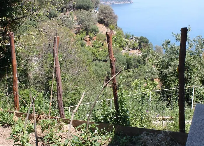 Διαμέρισμα 8094b Beli